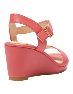 New 🧨 Sandler Abbey 🩴 Sandals In Pink Smooth 🎁 -Sandals Thongs Online Shop unnamed file 4090